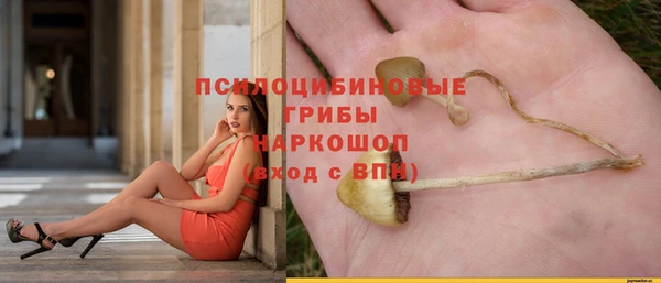герыч Алексин