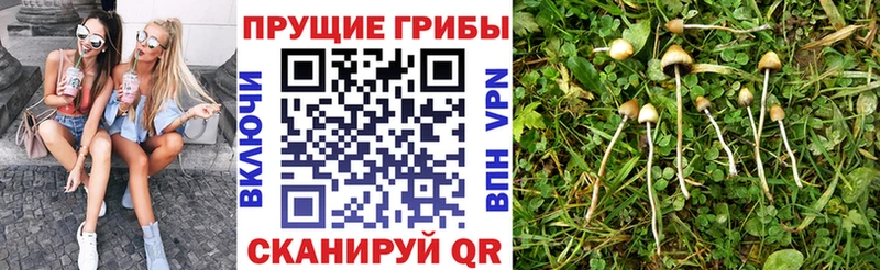 Галлюциногенные грибы MAGIC MUSHROOMS  Малаховка 