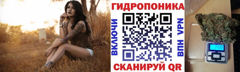 как найти наркотики Малаховка площадка клад Бошки марихуана сатива